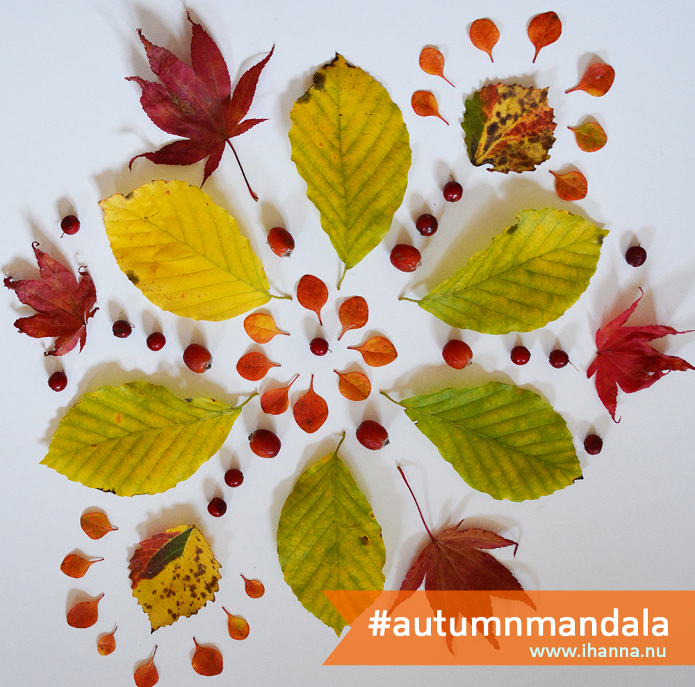 iHanna's Autumn Mandala, October 2013. Copyright Hanna Andersson