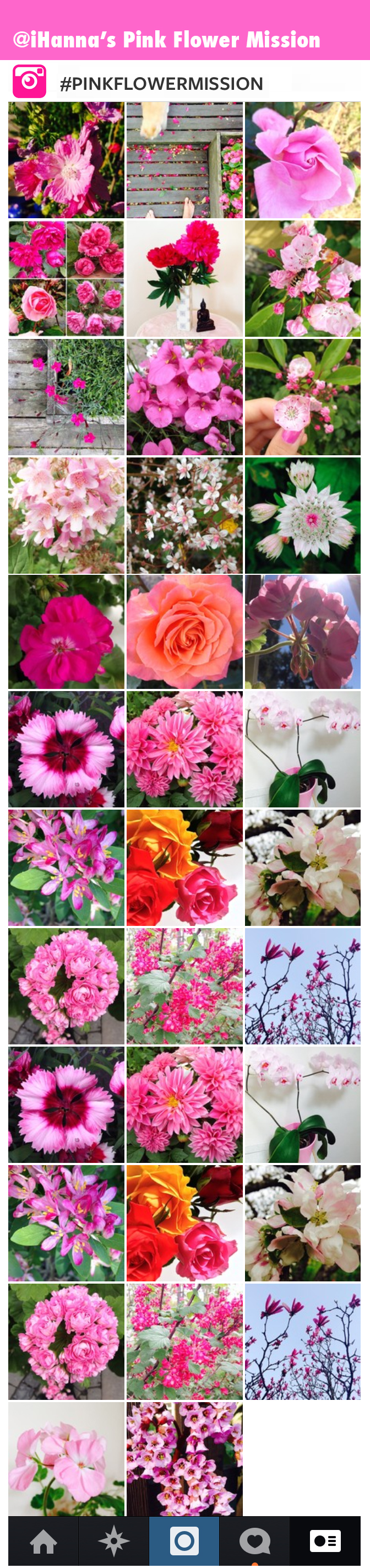 iHanna's #pinkflowermission project on instagram - so far (July 2014)