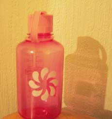 Pink drinking bottle from Nalgene