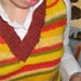 leftover vest