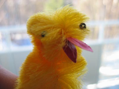 Happy easter chicken face