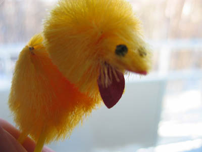Happy Easter chicken face