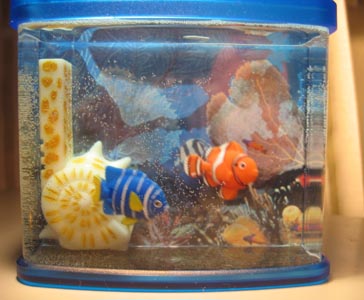 Fish tank with two plastic fishes called Sushi and Nemo