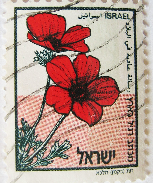 Red flower postal stamp Poppies from Israel