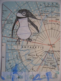 Penguin in Antarktis ATC made by iHanna 2005 (Copyright H. A.)