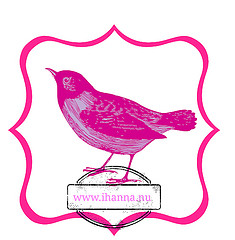 Pink bird illustration