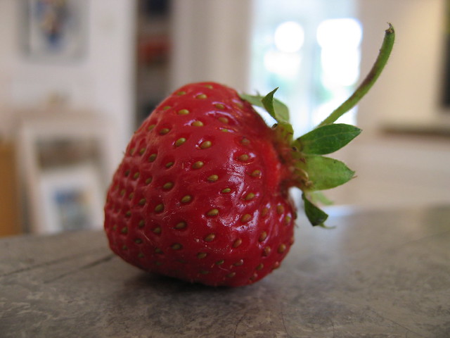 Strawberry macro photo (Photo copyright Hanna Andersson)