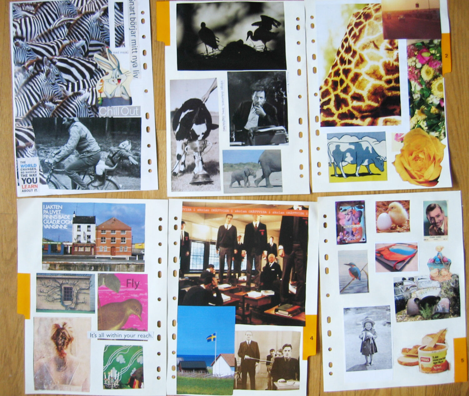 Rebirth of a Plain Register with collage and pretty images