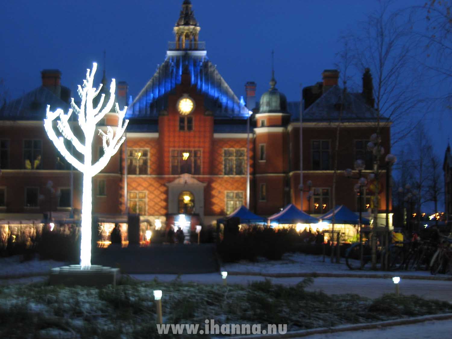 A tree of light set up in the darkness in Ume
