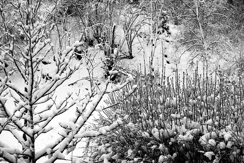 Snow world photo by me (Photo copyright Hanna Andersson)