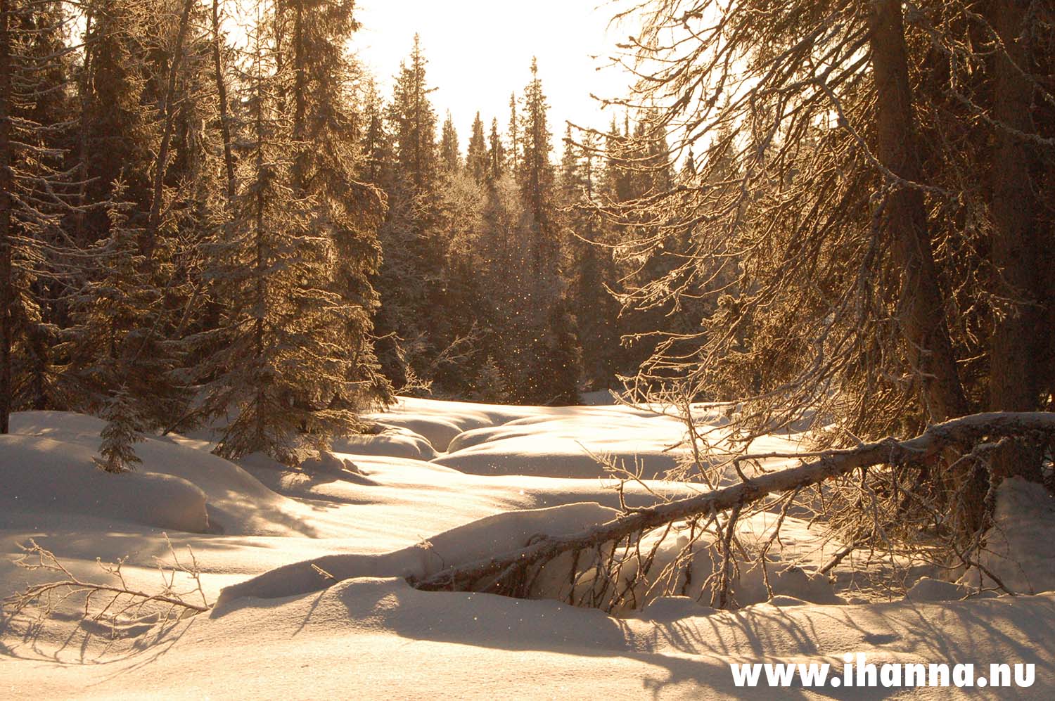 Winter in the Swedish alps 2006 - Photo copyright Hanna Andersson