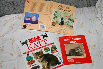 Cat books I am reading this week