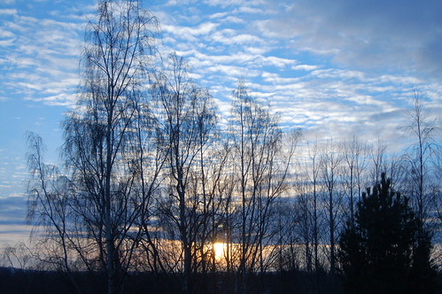 Sky and trees out our kitchen window (Photo copyright H. Andersson)