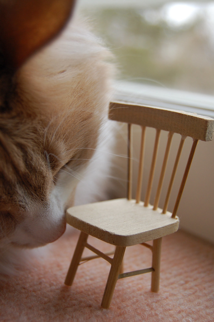 Miniature chair and cat Smilla (photo copyright H. Andersson) 2006