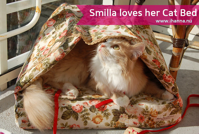 Smilla loves her Cat Bed for sure How to sew a cat bed