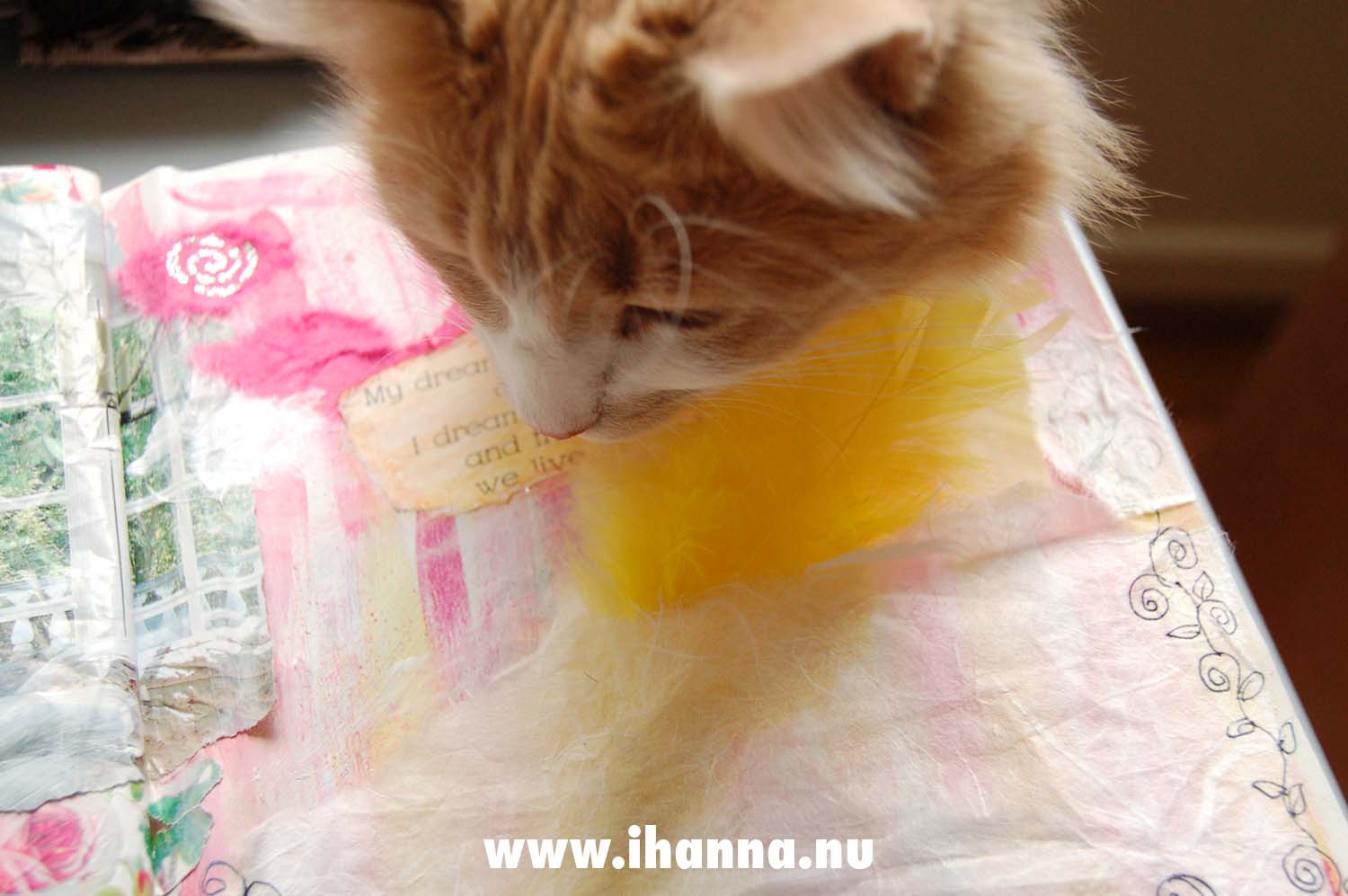 Smilla helping me (Photo by iHanna - Hanna Andersson)