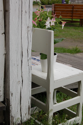 White chair outdoors with a potted plant on top 2006 (Photo Copyright Hanna Andersson)
