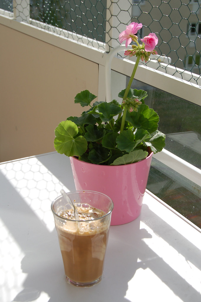 Pelargon och iskaffe - 2006 (Photo copyright Hanna Andersson)