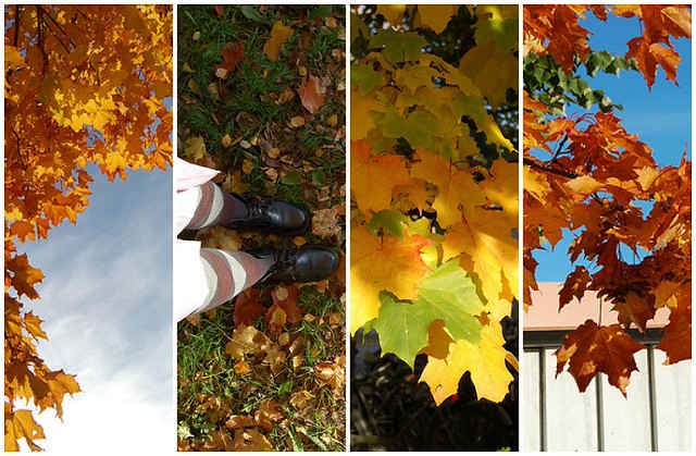 Autumn inspiration Sweden (Photo copyright H. Andersson) 2006