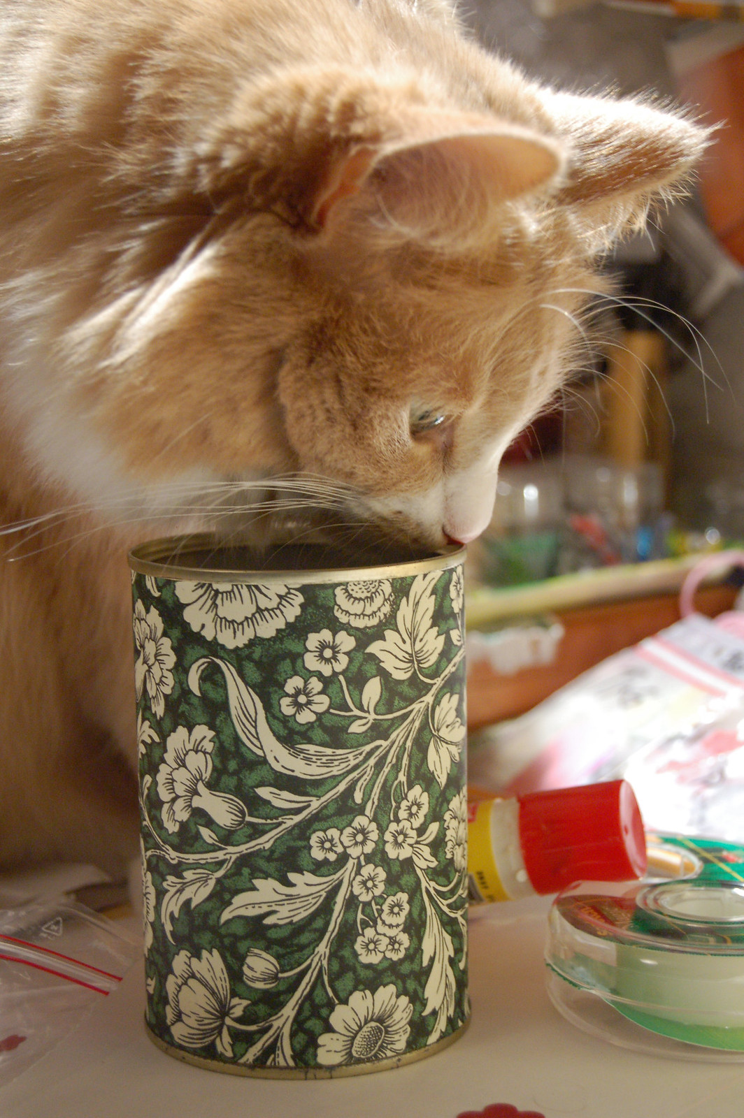 A new tin to smell... Photo Copyright Hanna Andersson