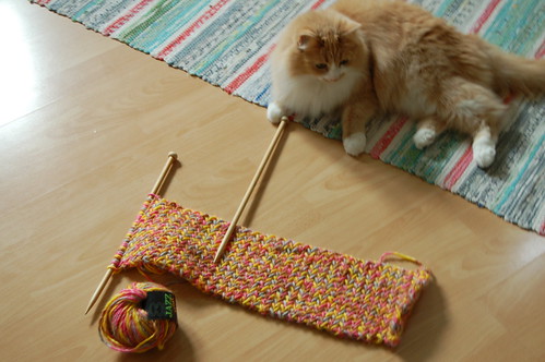 My so called Scarf on kitchen floor - knitted by iHanna