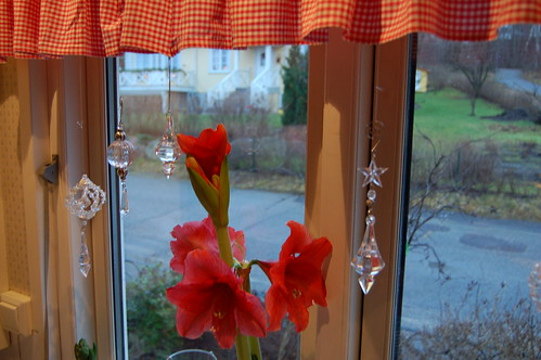 Christmas in this window again (Copyright H Andersson)