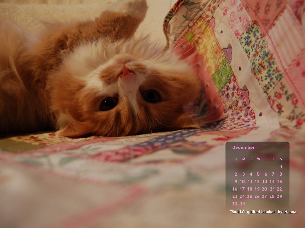 Smilla cozy desktop wallpaper #1 2007