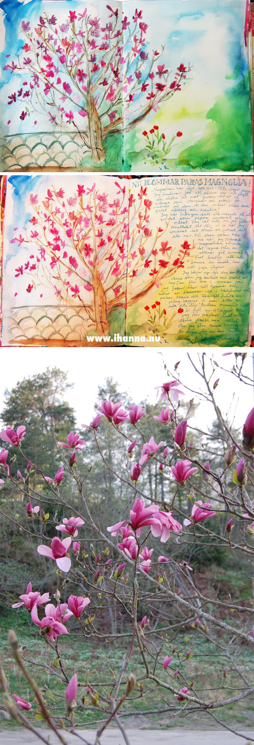 Painting the magnolia tree in my Art Journal - copyright Hanna Andersson