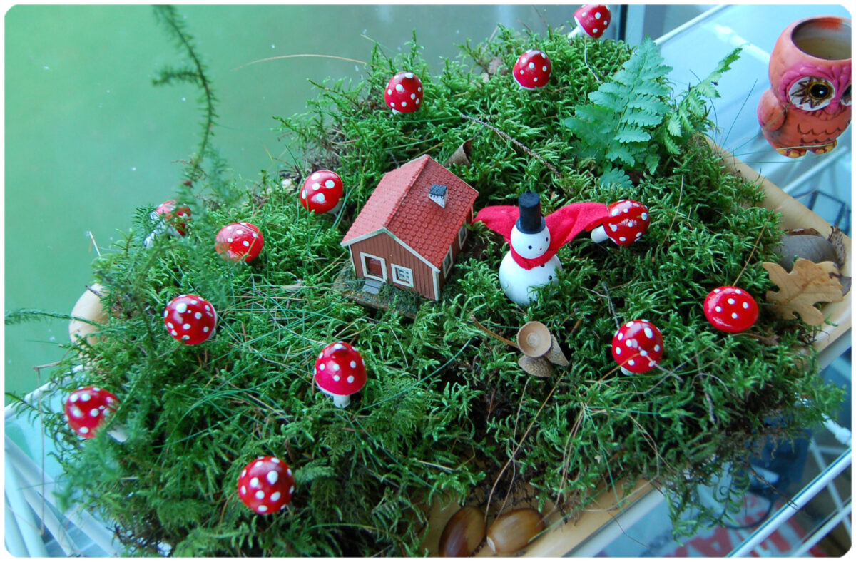 Fly photo over the beautiful Mushroom Land, on a tray. Photo copyright Hanna Andersson