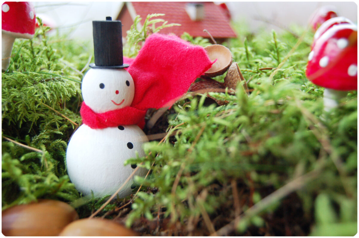 Mr Snowman visiting in Mushroom Land. Photo copyright Hanna Andersson