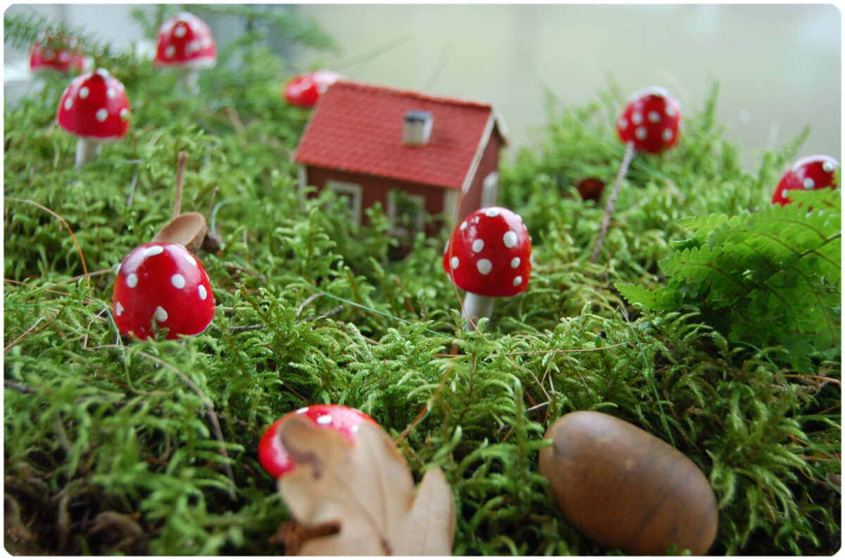 Mushroom Land. Photo copyright Hanna Andersson