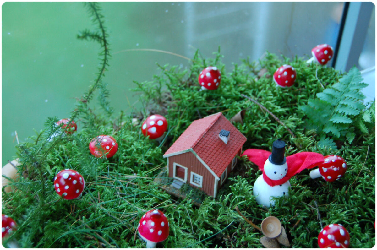 Mushroom Land. Photo copyright Hanna Andersson