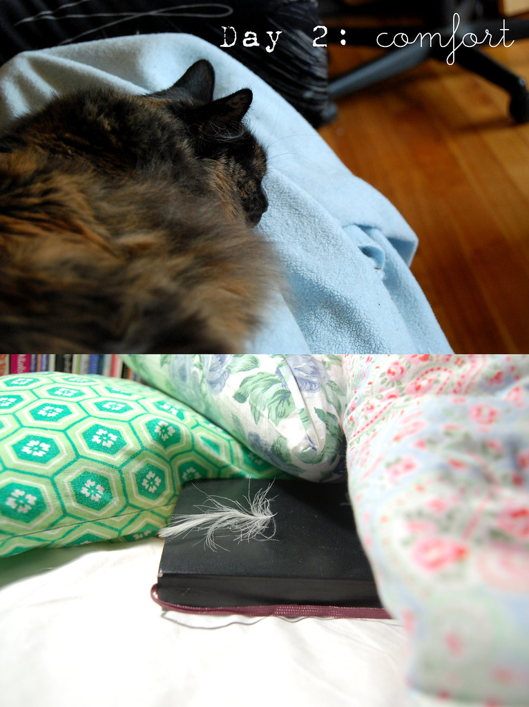 Day 2: the theme word today is comfort, photo by Sophie (above) and iHanna (below)