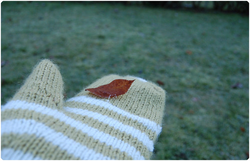 Green mittens in winter (Photo copyright Hanna Andersson)