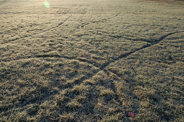 Frosty patterns (Photo copyright H. Andersson)