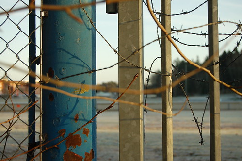 Fence, wire and branches intertwined on a ice cold walk (Photo copyright H. Andersson)