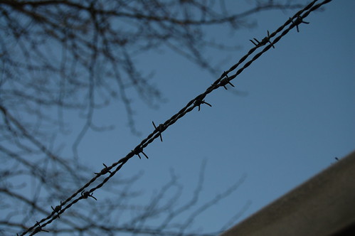 Barb wire and blue sky on a ice cold walk (Photo copyright H. Andersson)