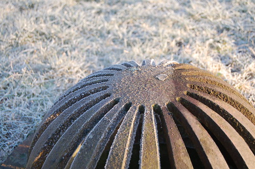 Frosty grass on a ice cold walk (Photo copyright H. Andersson)