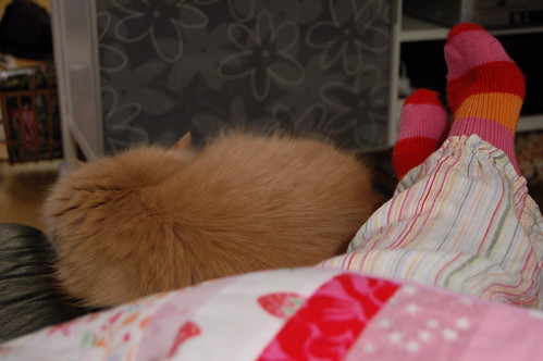 Cat and feet under handmade blanket in handmade socks - I'm working (copyright Hanna Andersson)