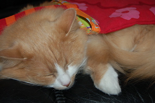 Smillis under a new tote that mom made from Gudrun Sjoden fabric thrifted table cloth (copyright Hanna Andersson)