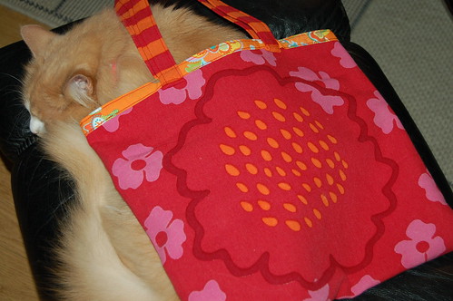 Smillis under a new tote aka cozy cat blanket (copyright Hanna Andersson)