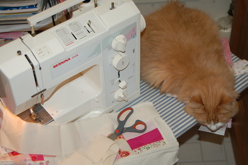 Sewing machine friendship (copyright Hanna Andersson) Sewing machine friendship (copyright Hanna Andersson)