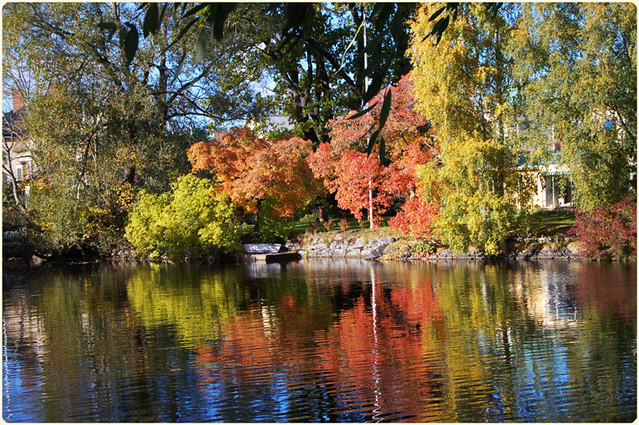 Autumnal Sweden (Copyright Hanna Andersson)