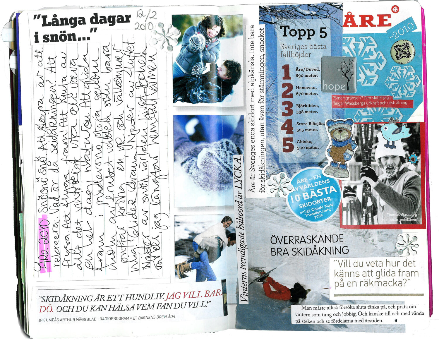 Diary collages February 2010 (Copyright Hanna Andersson)