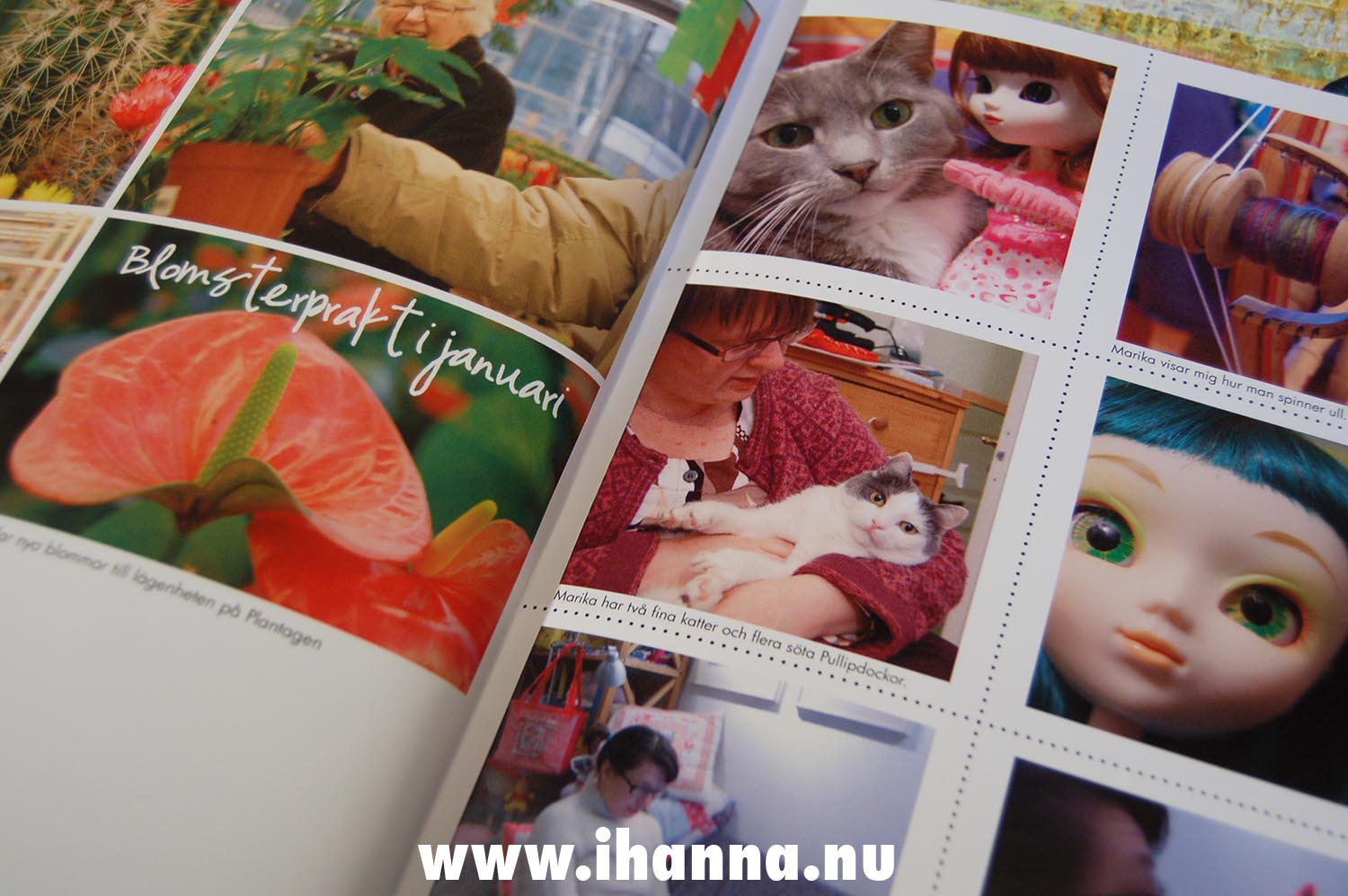 Photos inside my book Minnesbilder 2008 - a year of photos printed by Blurb and made by Hanna Andersson (Copyright Hanna Andersson)