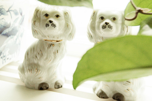 Guarding porcelain dog figurines - by iHanna (Copyright Photo Hanna Andersson)