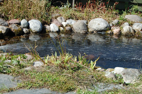 The pond surrounded by grass and rocks picked by dad 2010 (Photo copyright Hanna Andersson)