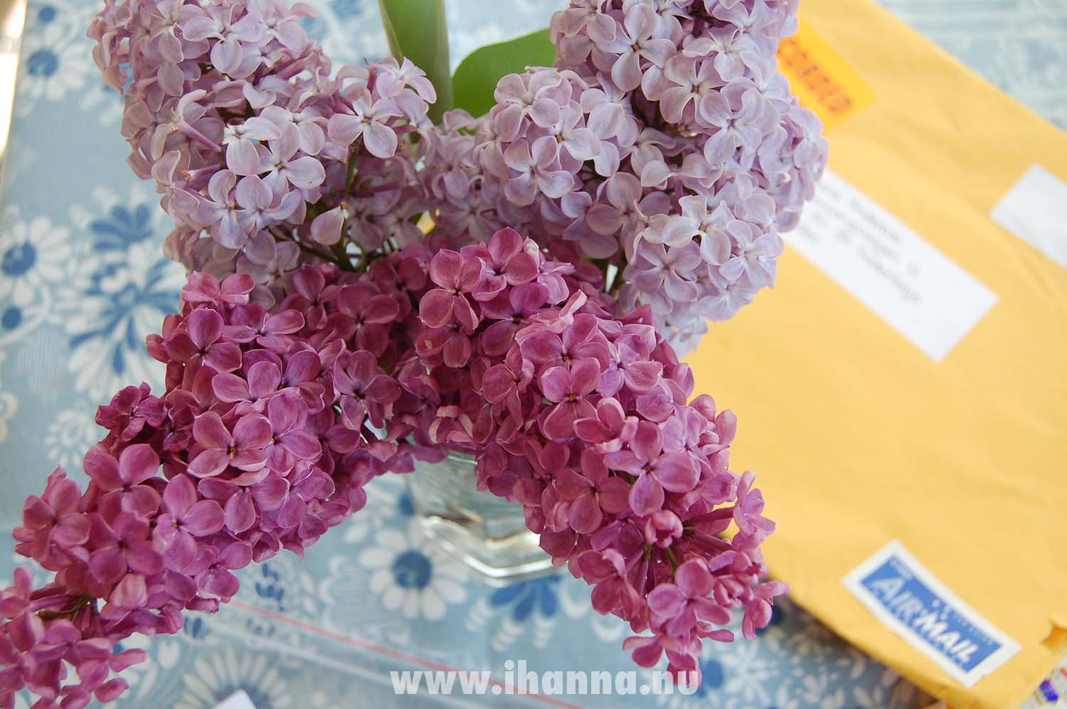 Flowrs, Air Mail and other Fun finds from my inbox 2010 (Photo Copyright Hanna Andersson)