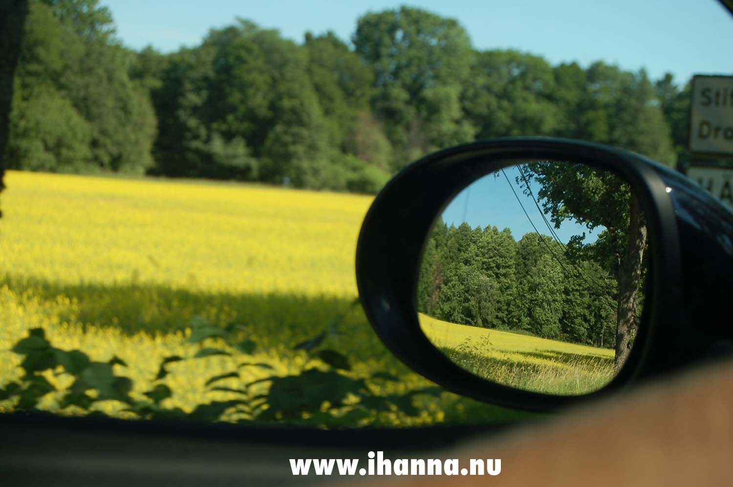 Car view of Sweden rolling by, photo by iHanna (copyright Hanna Andersson)