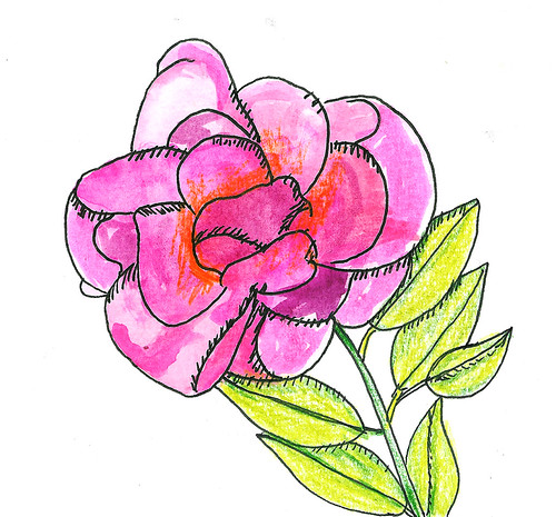 A pink doodle rose art card drawing by iHanna 2011 (Copyright H. Andersson)